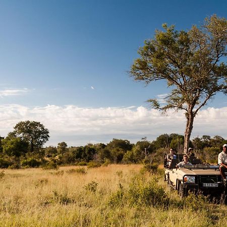 Tintswalo Safari Manyeleti Game Reserve Exterior foto