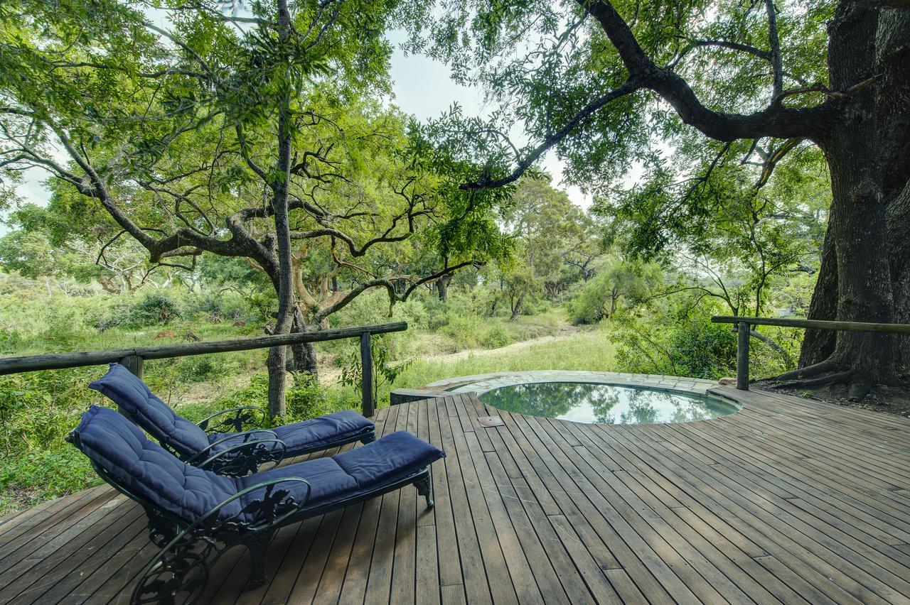 Tintswalo Safari Manyeleti Game Reserve Exterior foto